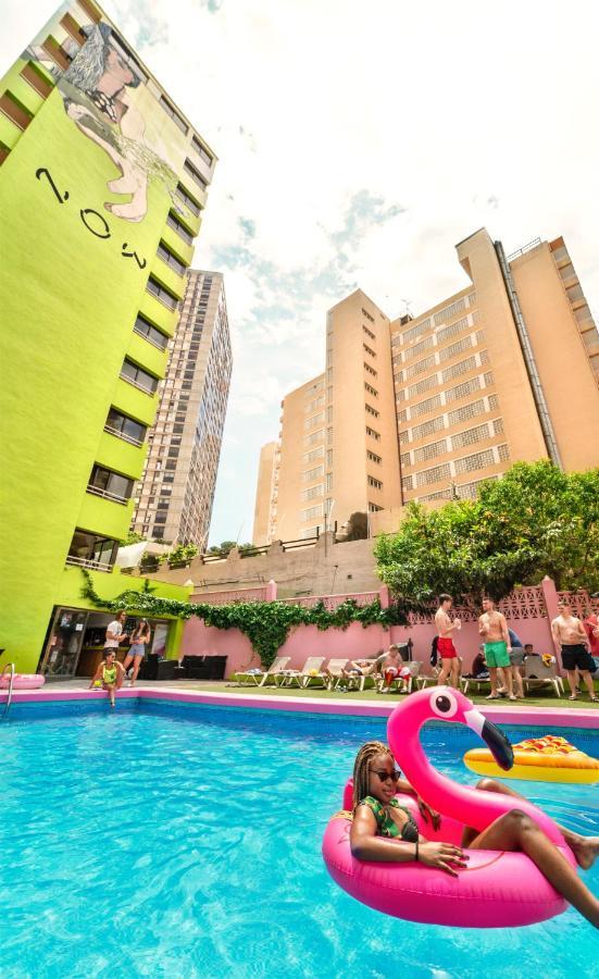 Apartment Now