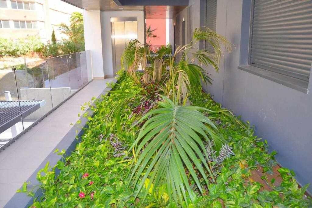Apartamento De Lujo En Primera Linea De Playa *