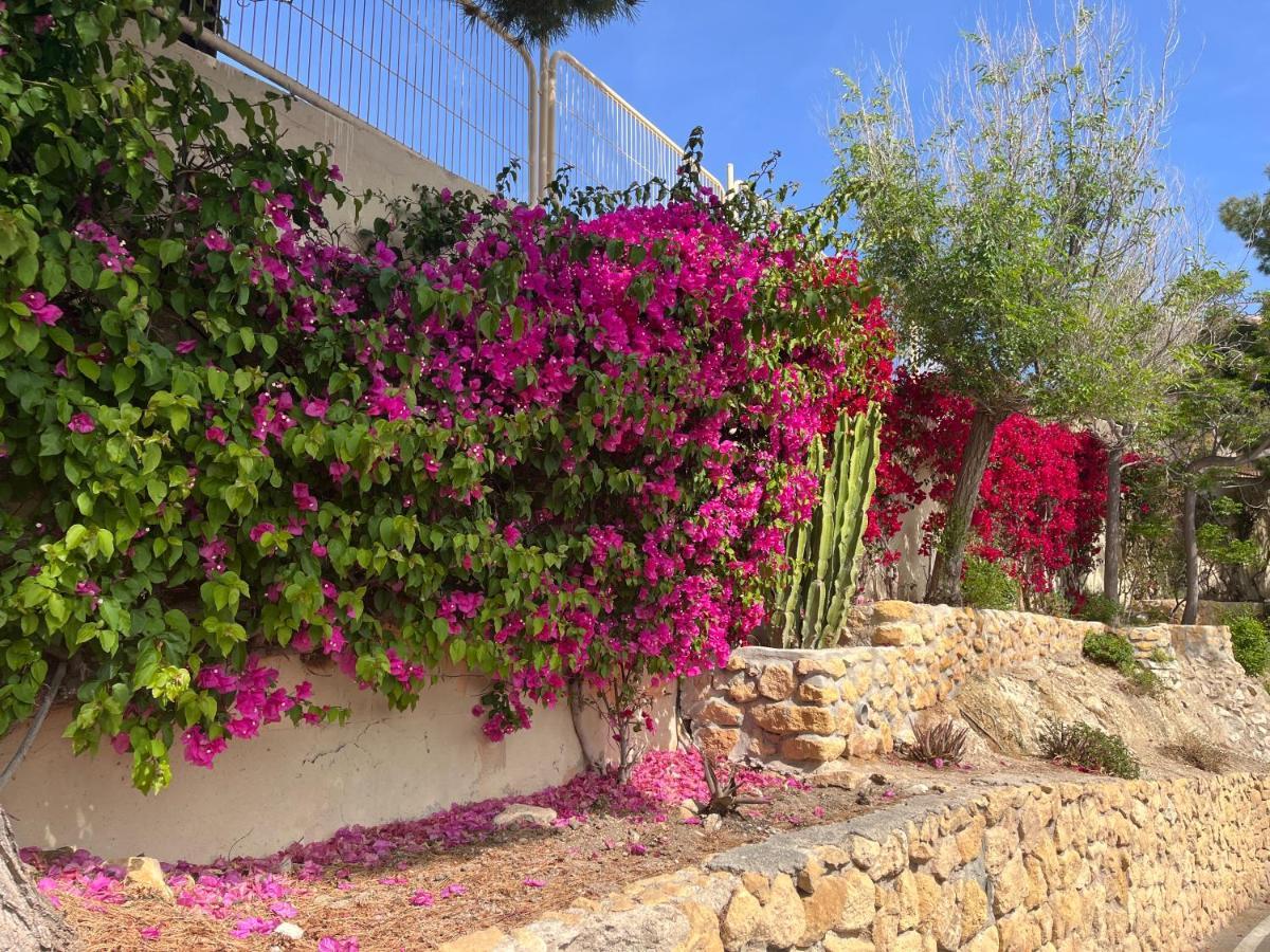 Apartamento Roymar 14 Playa Benidorm