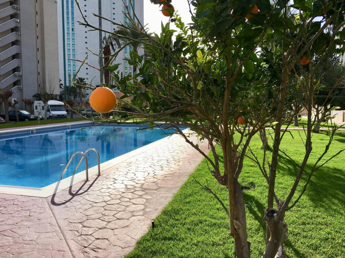 Hannibal La Cala Finestrat Apartment *