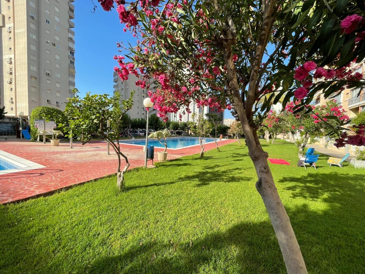 Hannibal La Cala Finestrat * Benidorm