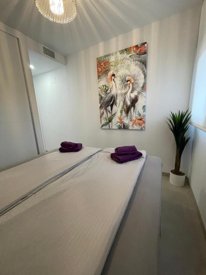 Sunset Cliffs By Mar Holidays Appartement