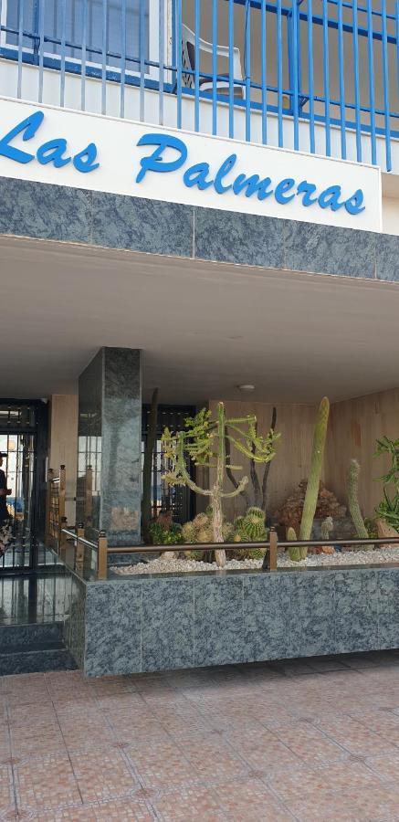 Apartment Palmeras 6 If