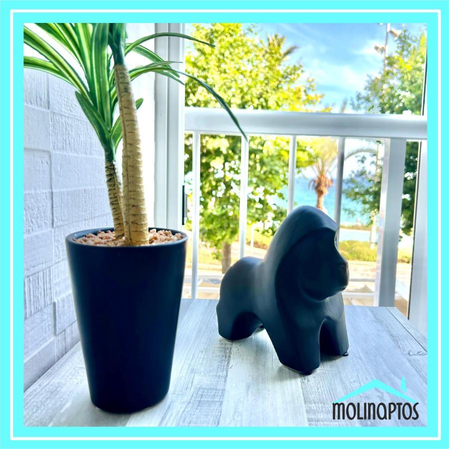 Appartement Estudio 29 Frente Al Mar By Molinaptos *