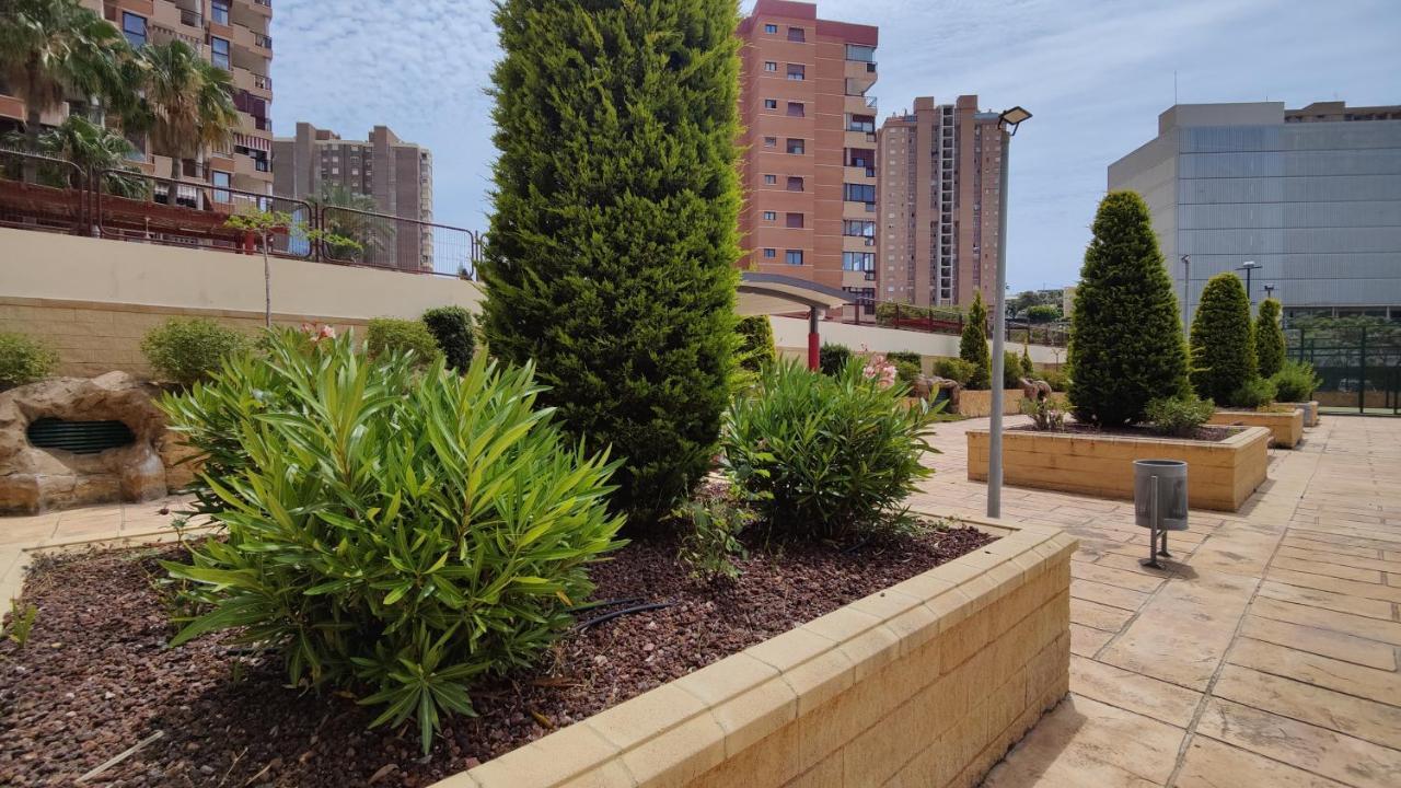 Apartamento Dos Calas Sunny *