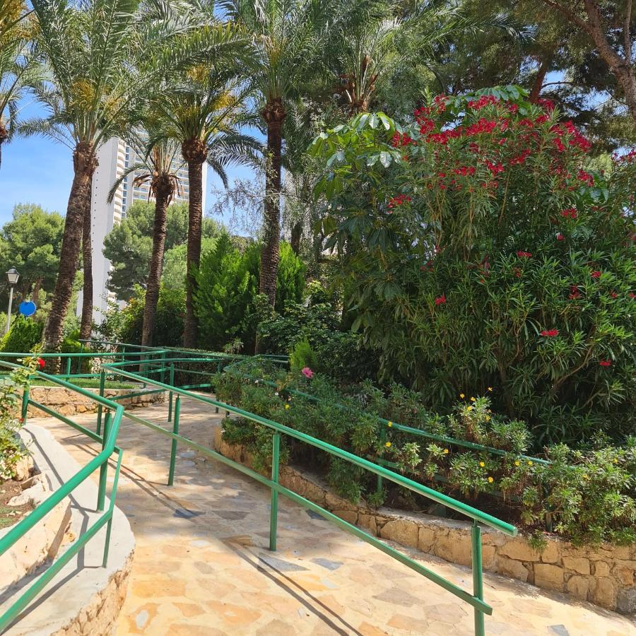 Alco Apartamentos: Playmon Park Appartement *