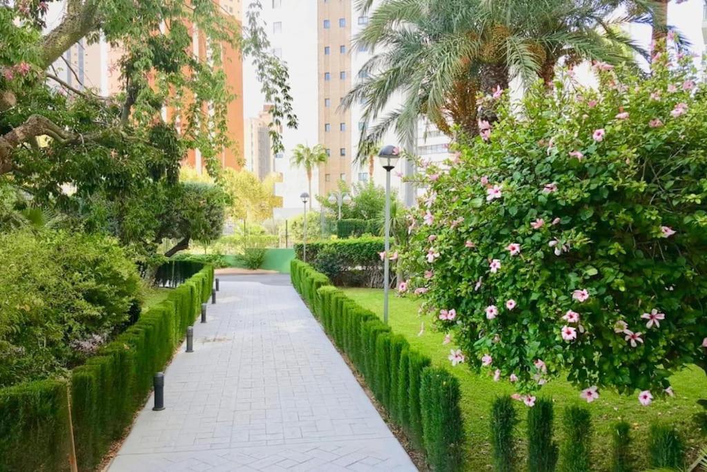Apartamento En Levante En Planta 17