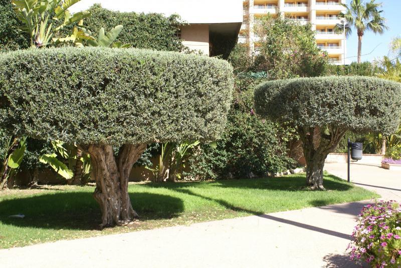 Paraiso 10 Appartement Benidorm