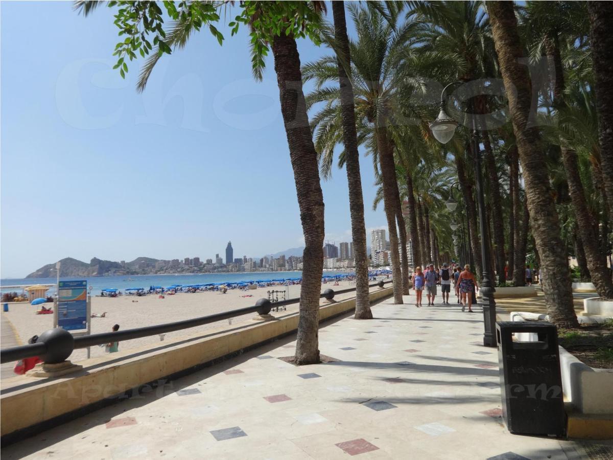 Chorrol Benidorm