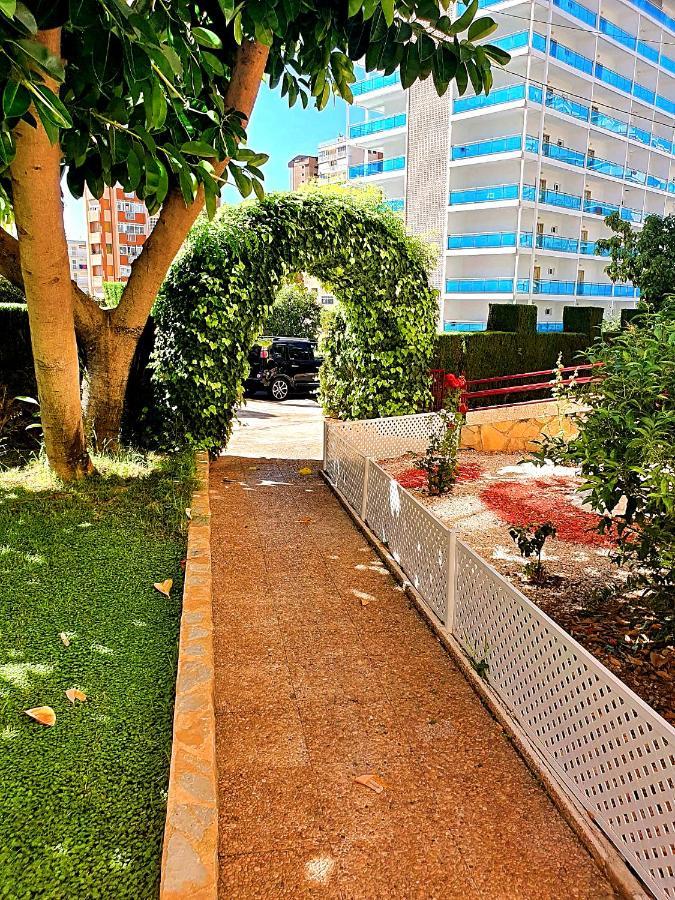 One Bedroom Sleep 4 -apart In Benidorm, Near Everything Appartement