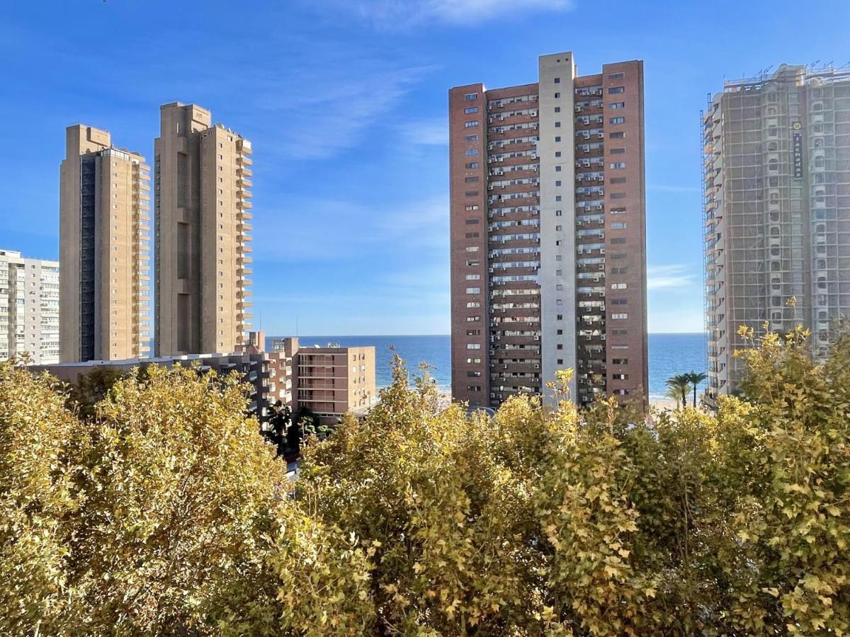 Caballos Levante * Benidorm