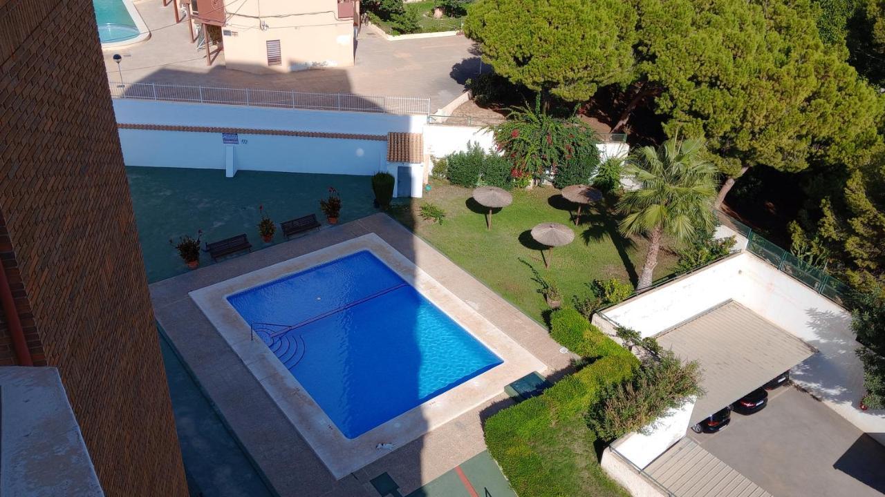 Apartamento Nuevo En *