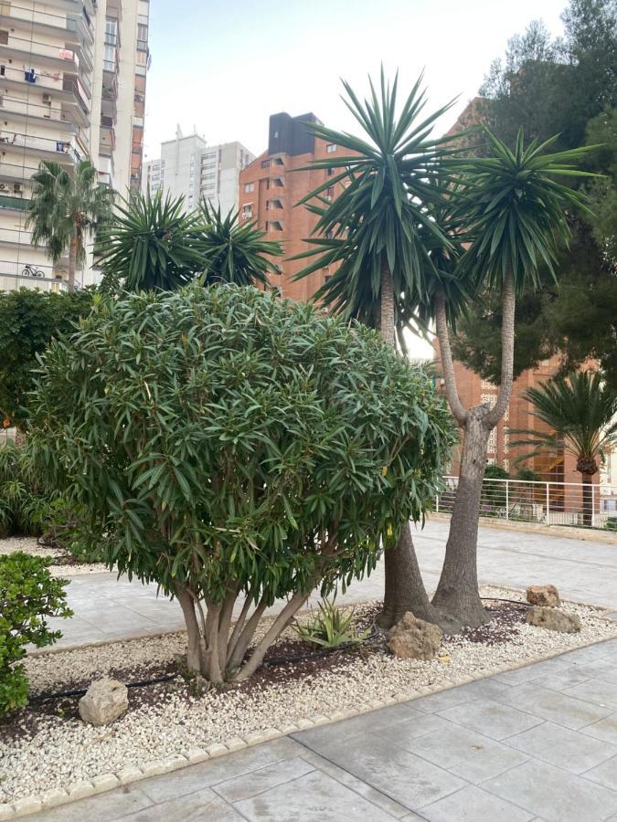 Torre Monaco Apartment Benidorm