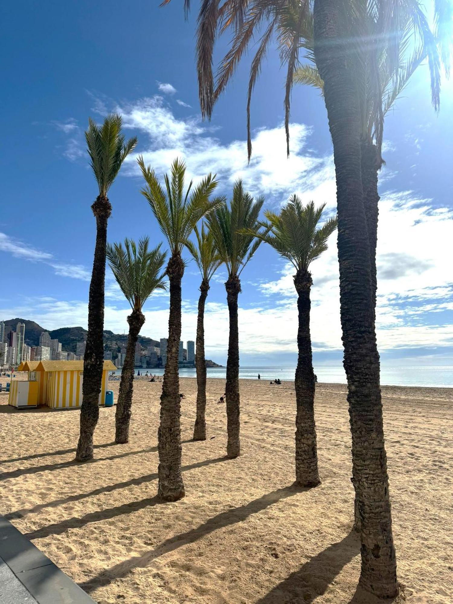 Marinada Benidorm