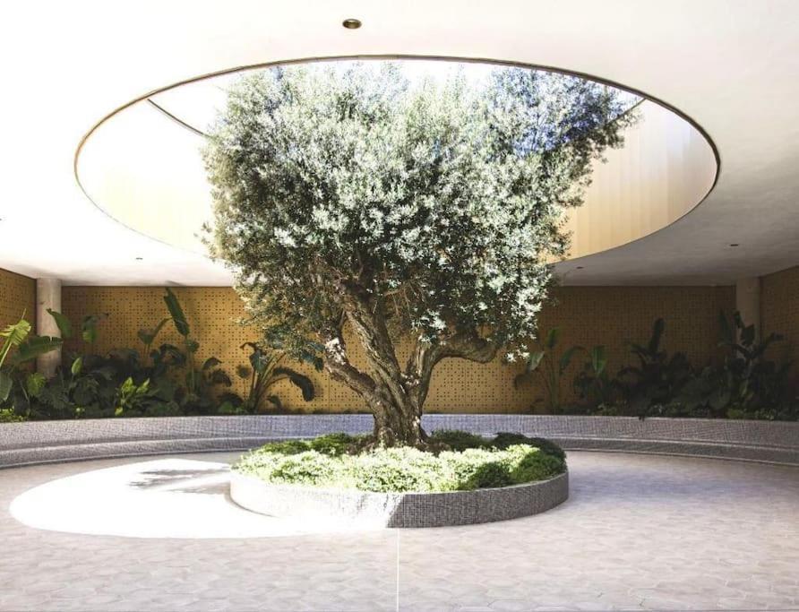 Intempo Sky: Surcando El Cielo Apartamento