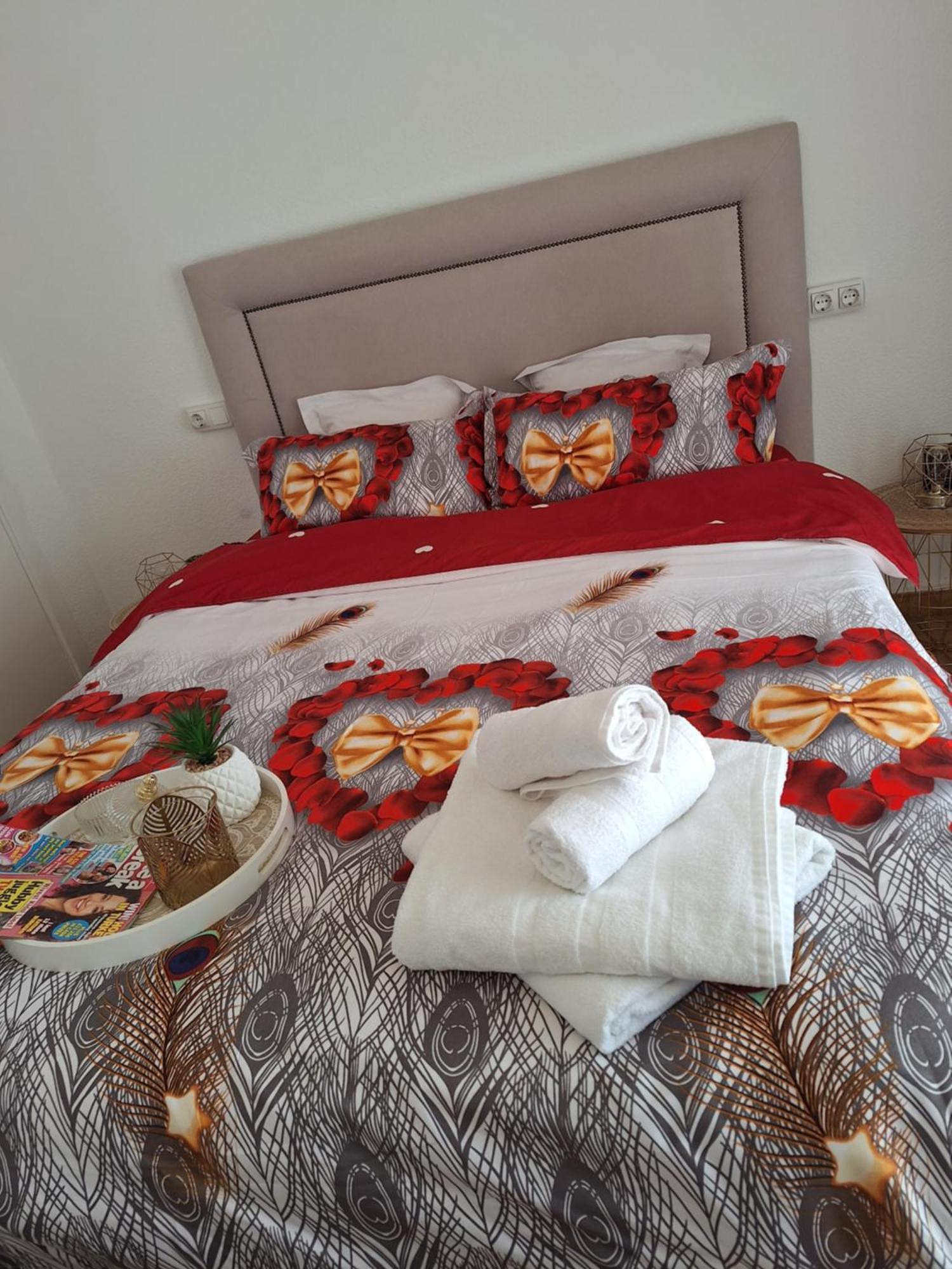 New One Bedroom In Apartment