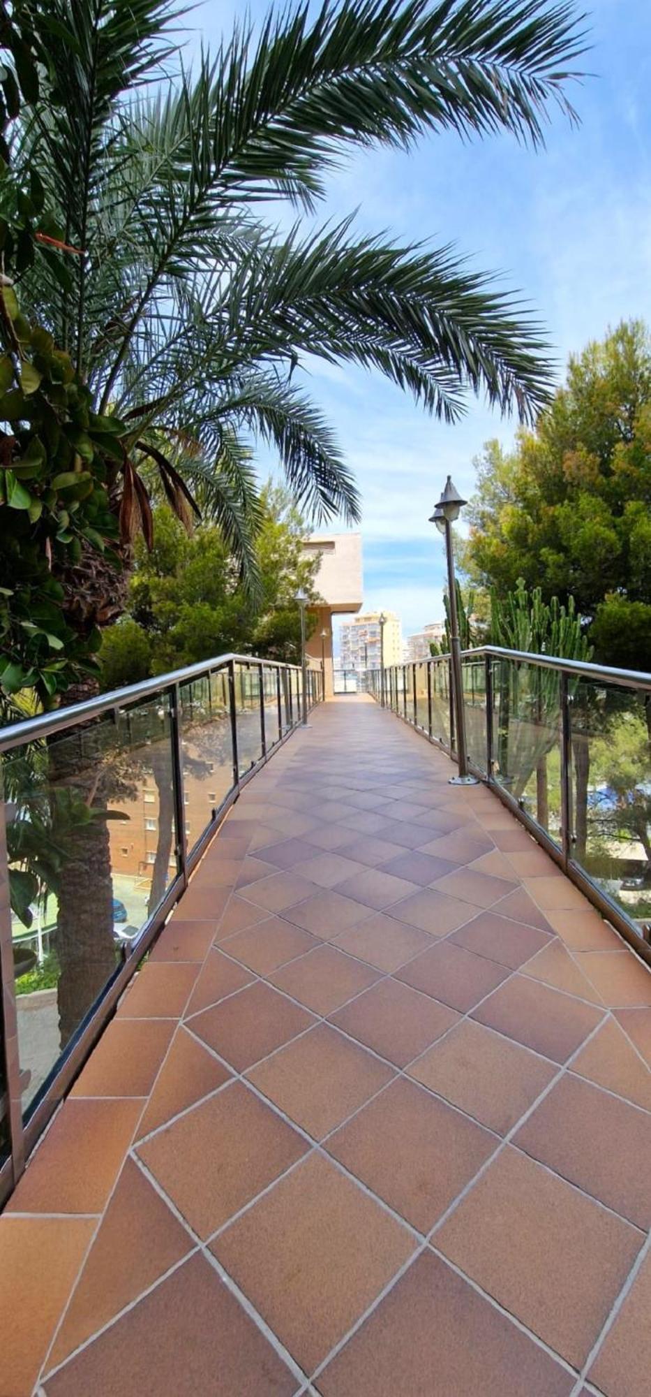 Apartment Don Miguel Ii 20