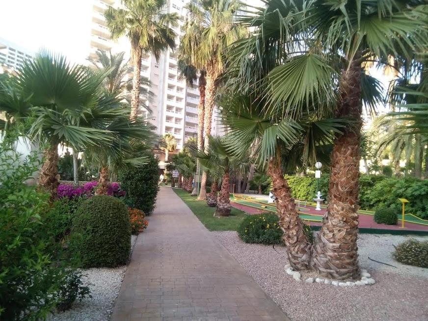 Skyline Gemelos 22 Trg * Benidorm