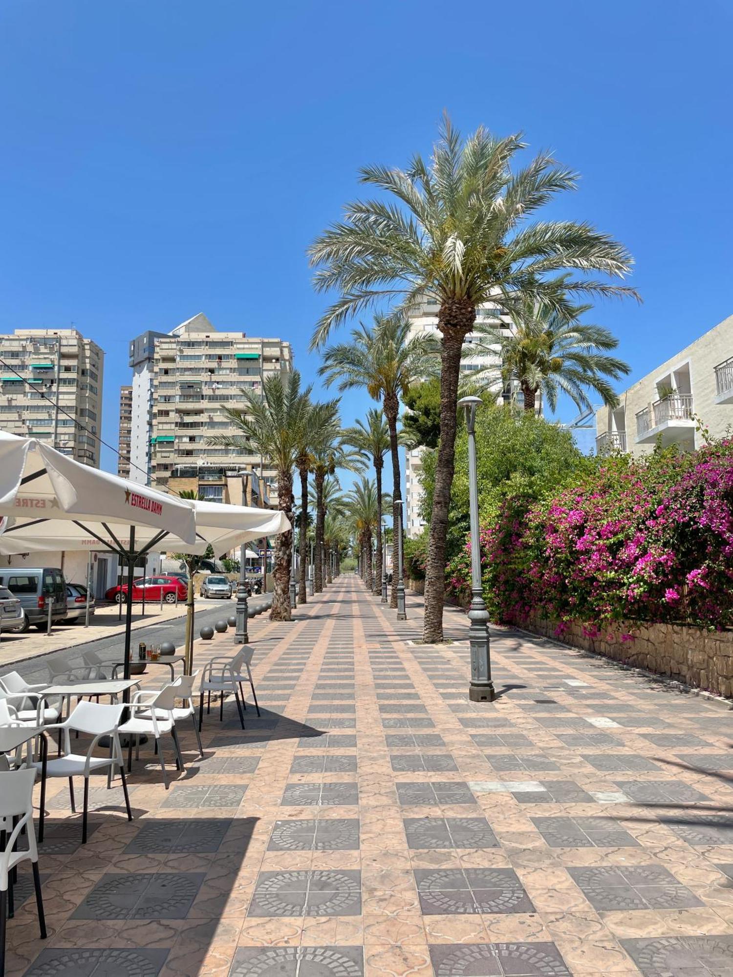 Apartment New Square Ibiza Benidorm