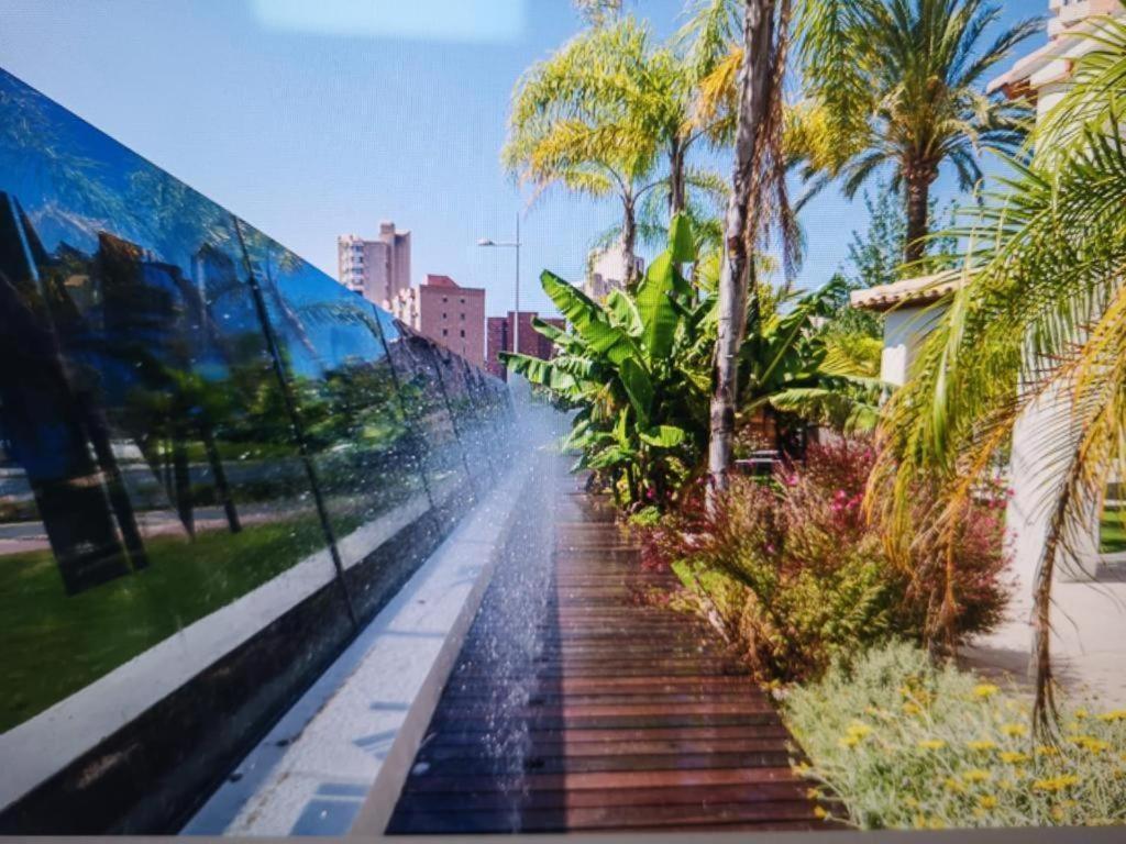 Jap Benidorm
