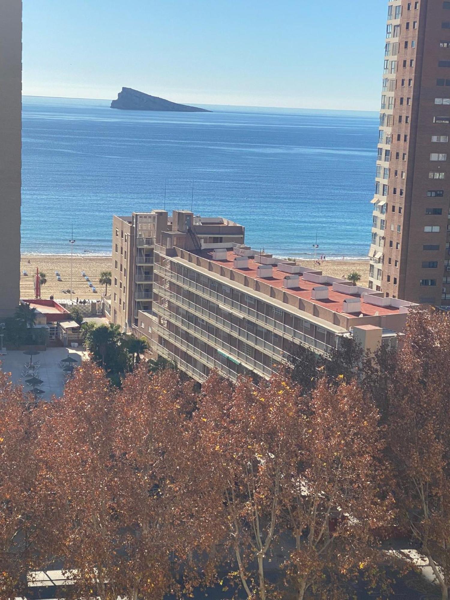 Benilove, En Playa Benidorm