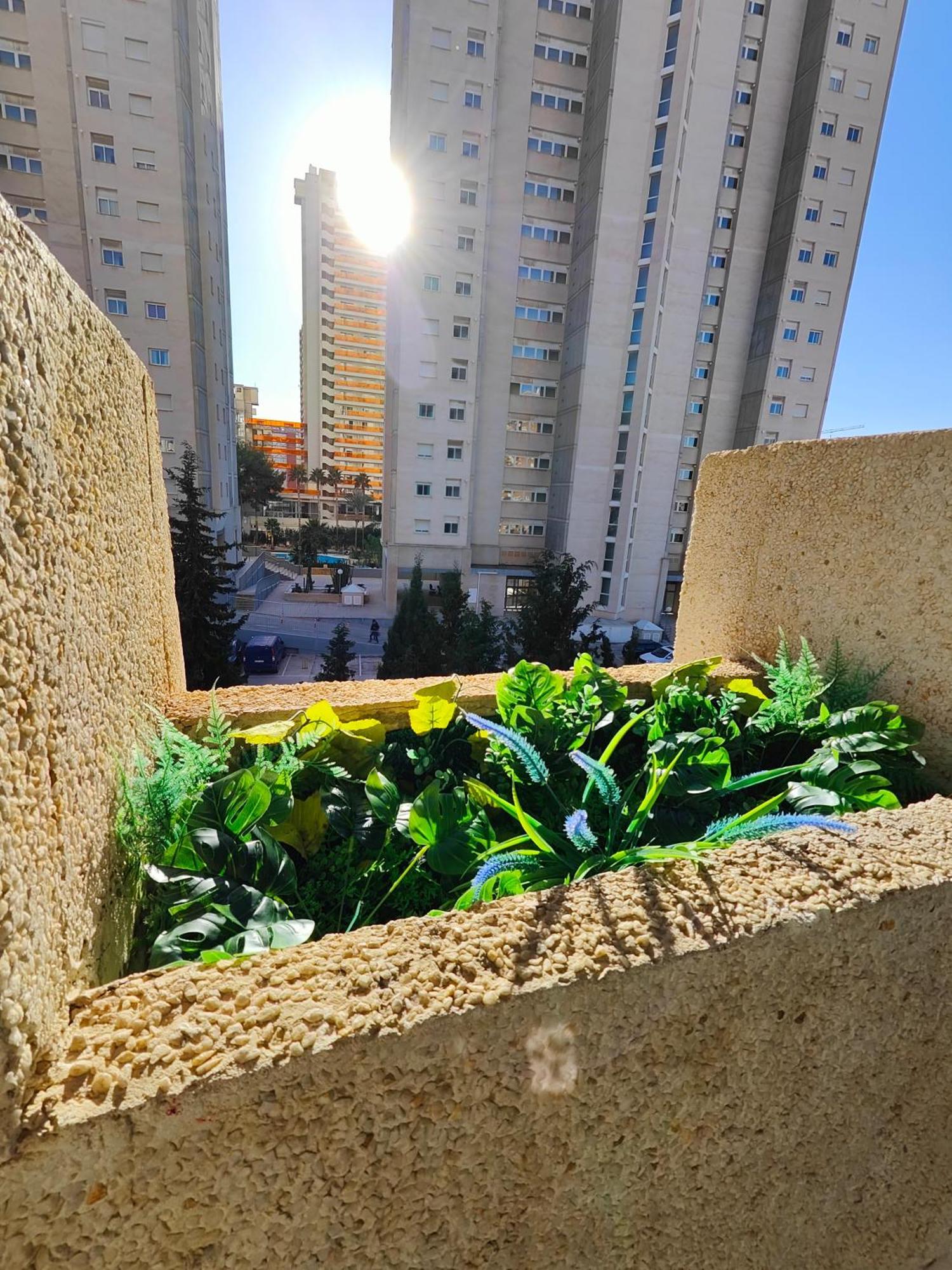 Playa Levante Lux Mar Appartement *