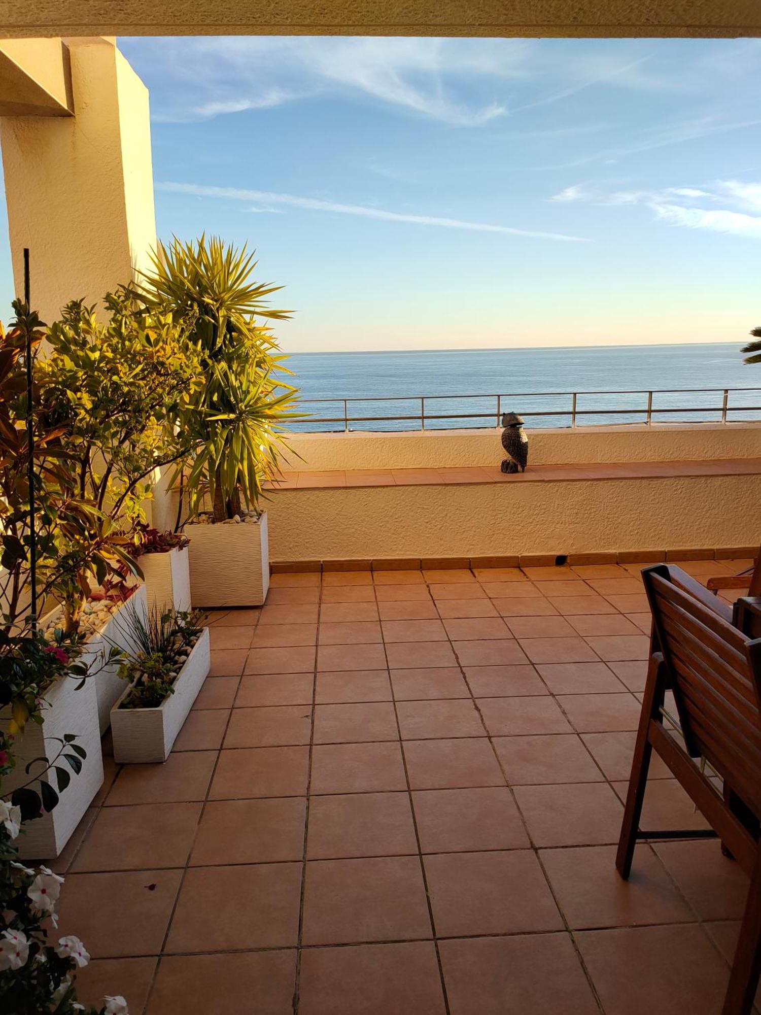 Apartamento Piso En La Primera Linea Del Mar Con 2 Benidorm