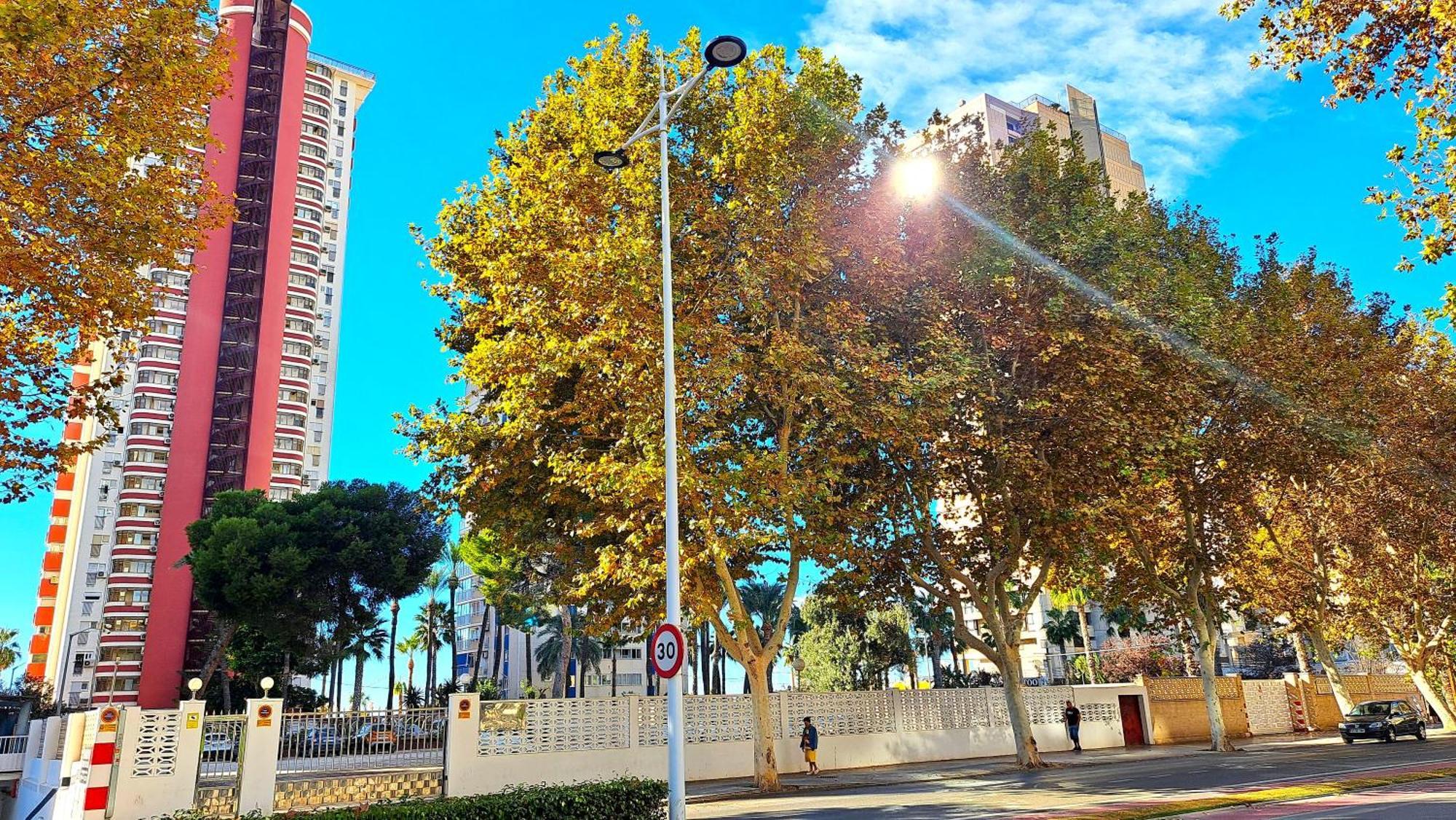 Damas - 23 B, Primera Linea, Playa Levante Benidorm
