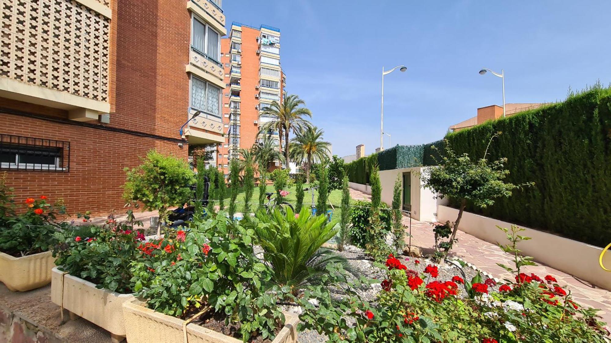 Apartment San Sebastian If Benidorm