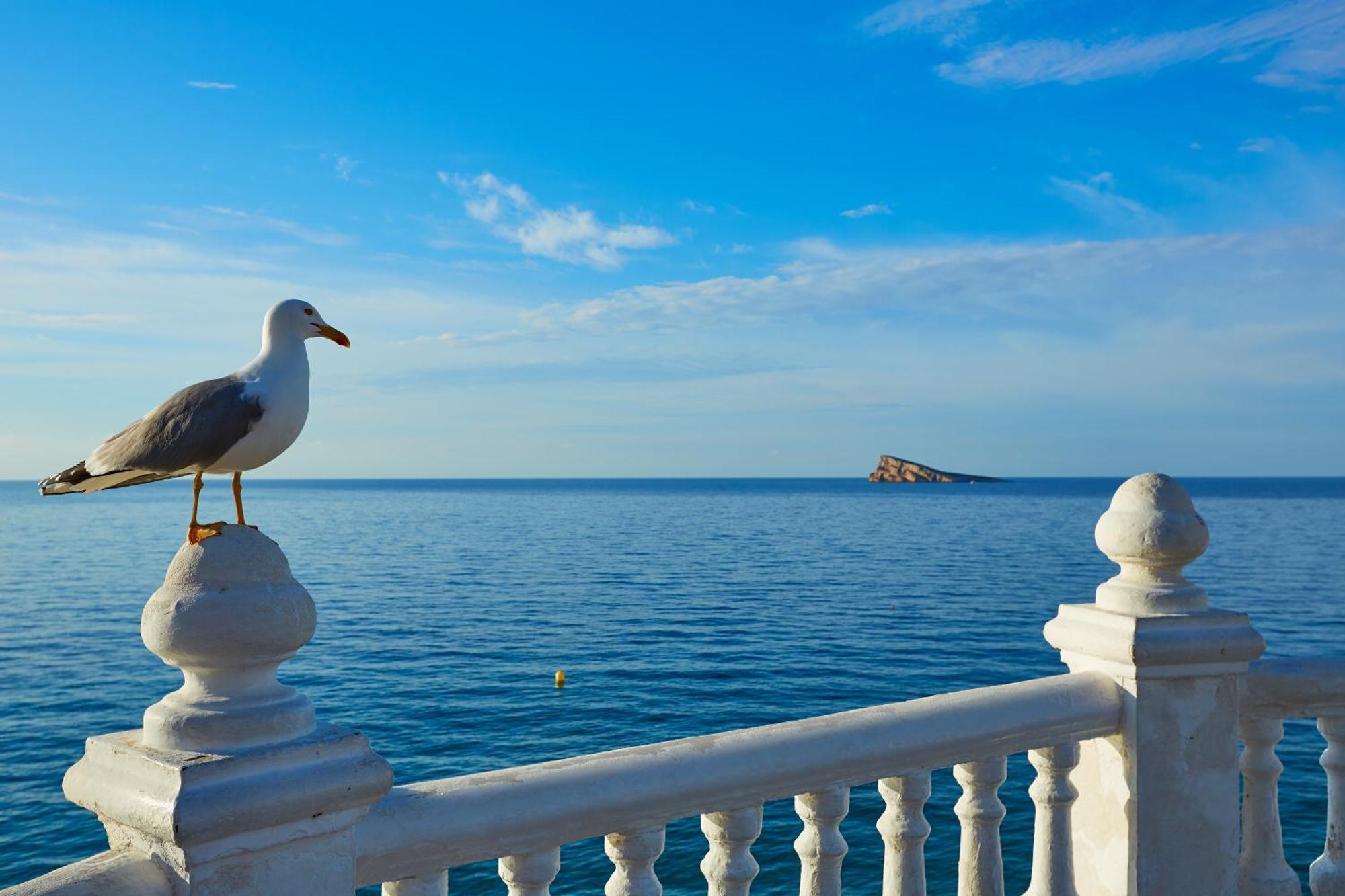 Refugio Raco Del Conill - Mountain, & Apartment Benidorm