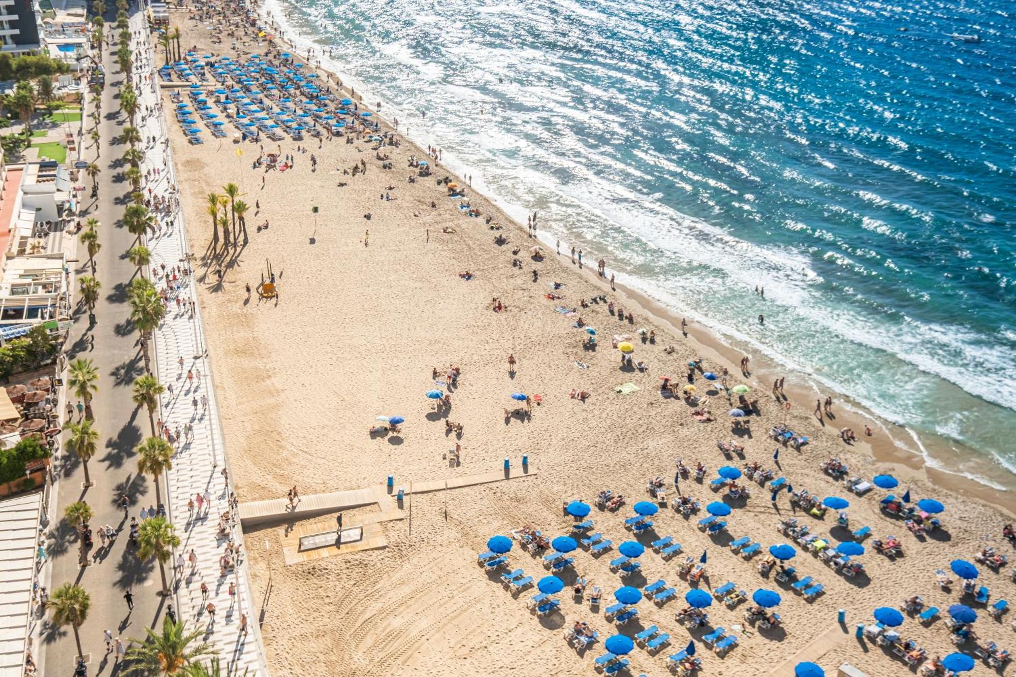 Veracruz 18-a Benidorm