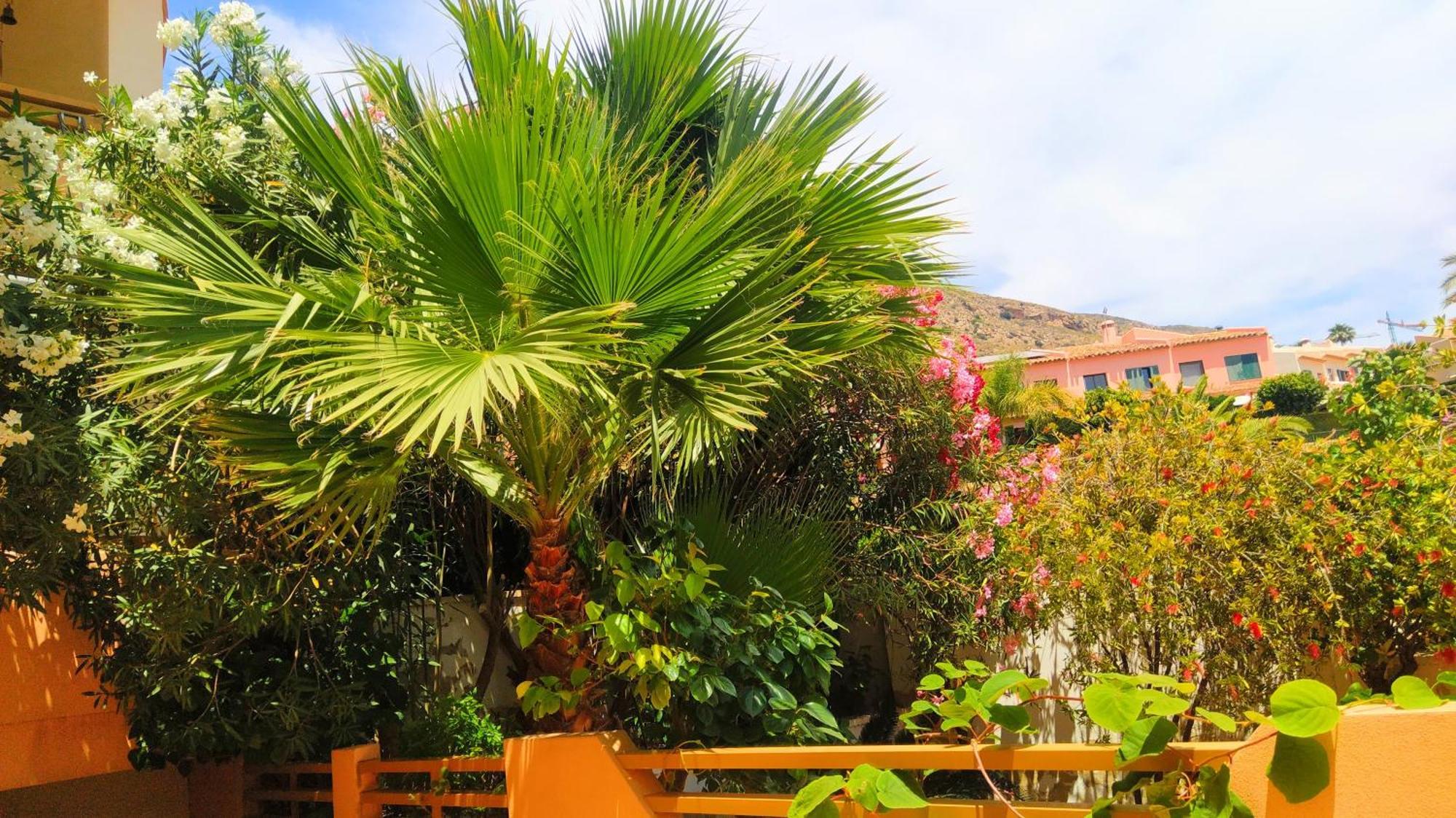 Deluxe Garden Flat Near Terra-mitica *