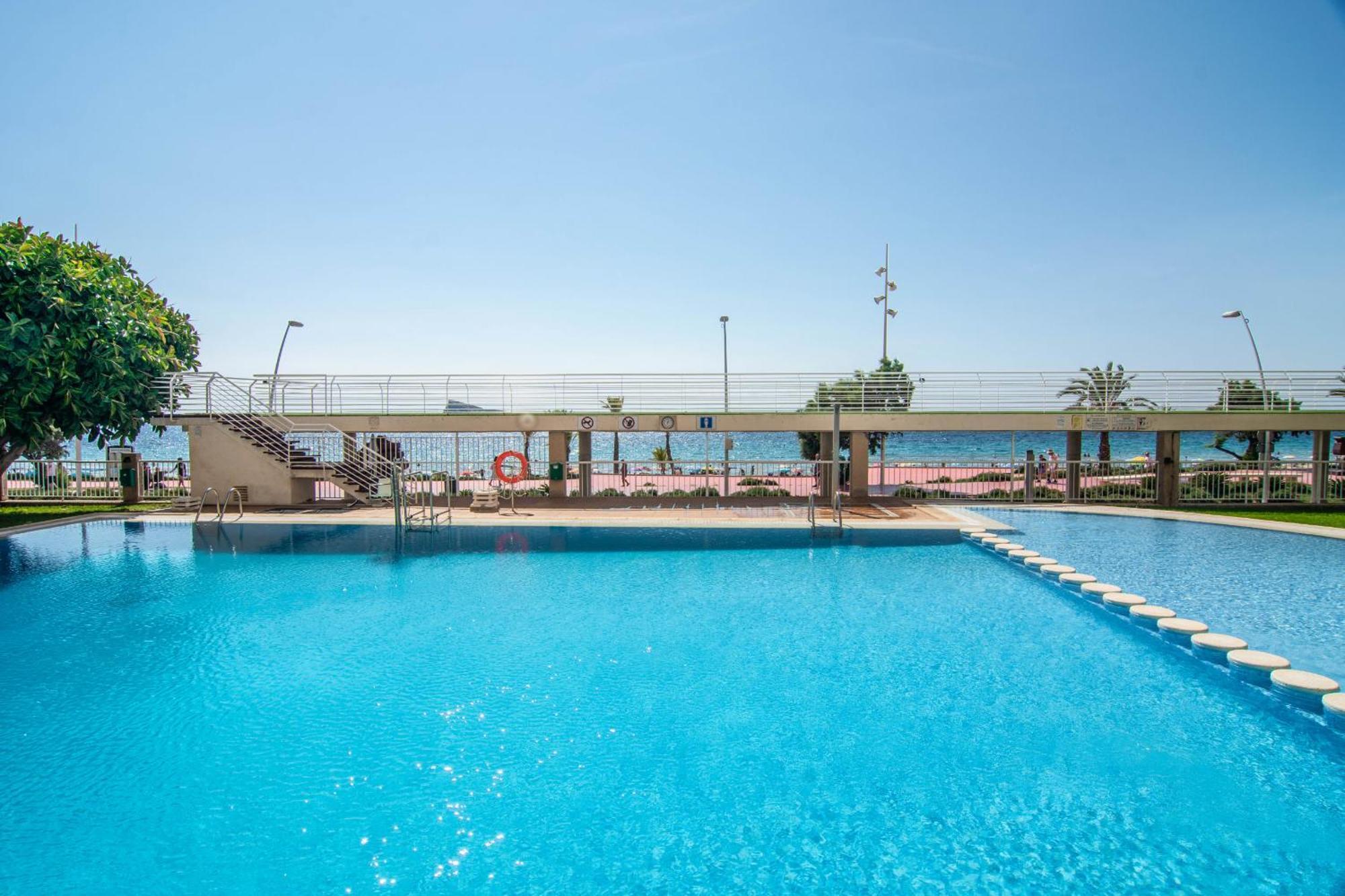 Olivar Playa