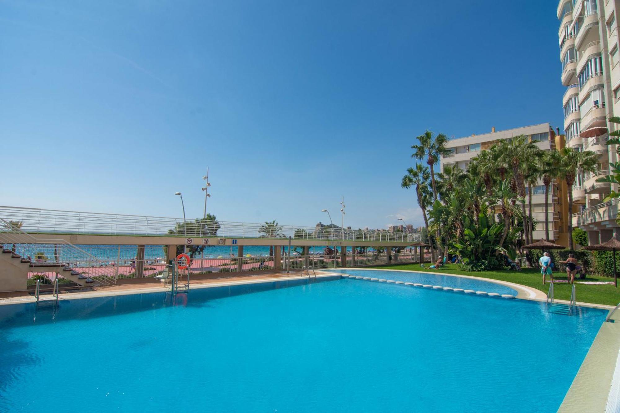 Olivar Playa *