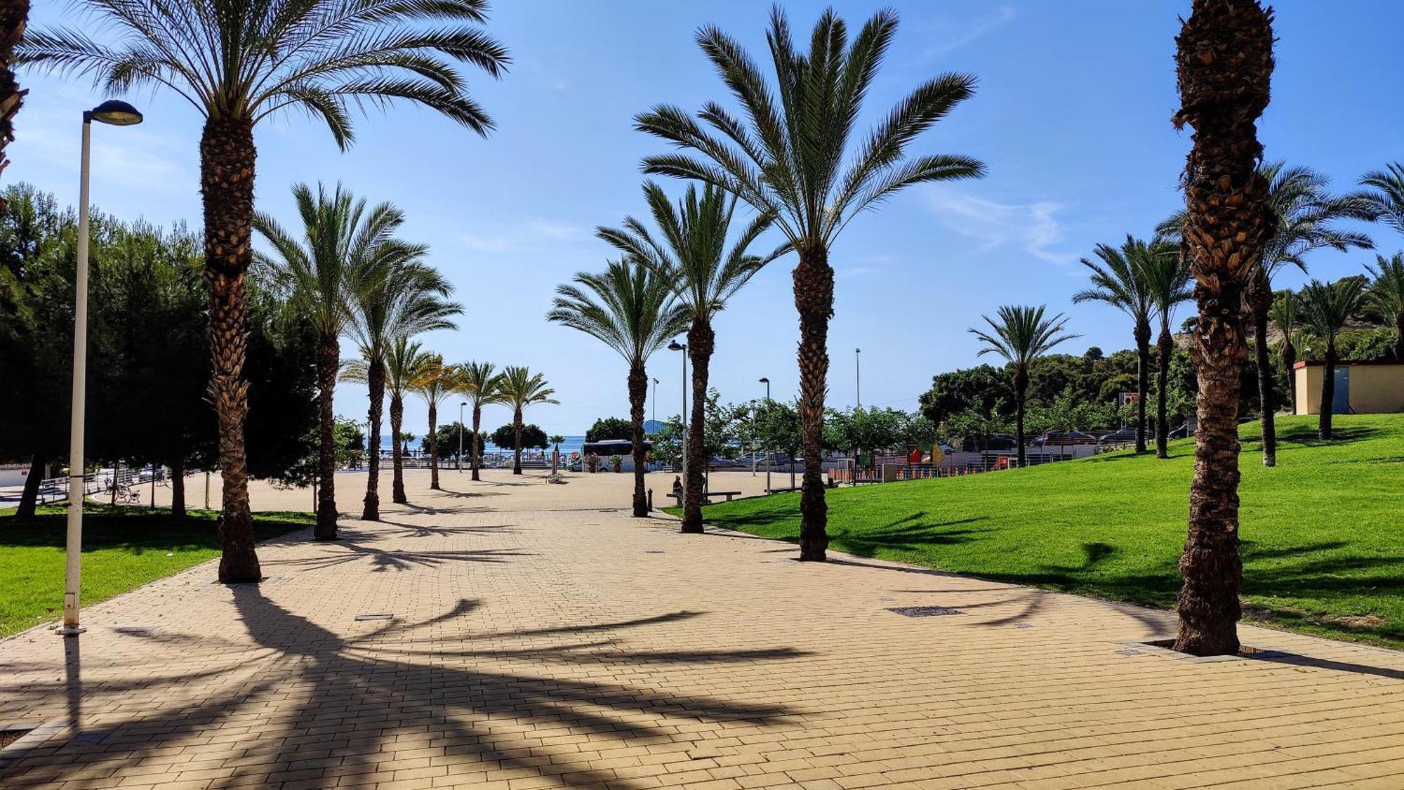 Cala Alta Design *