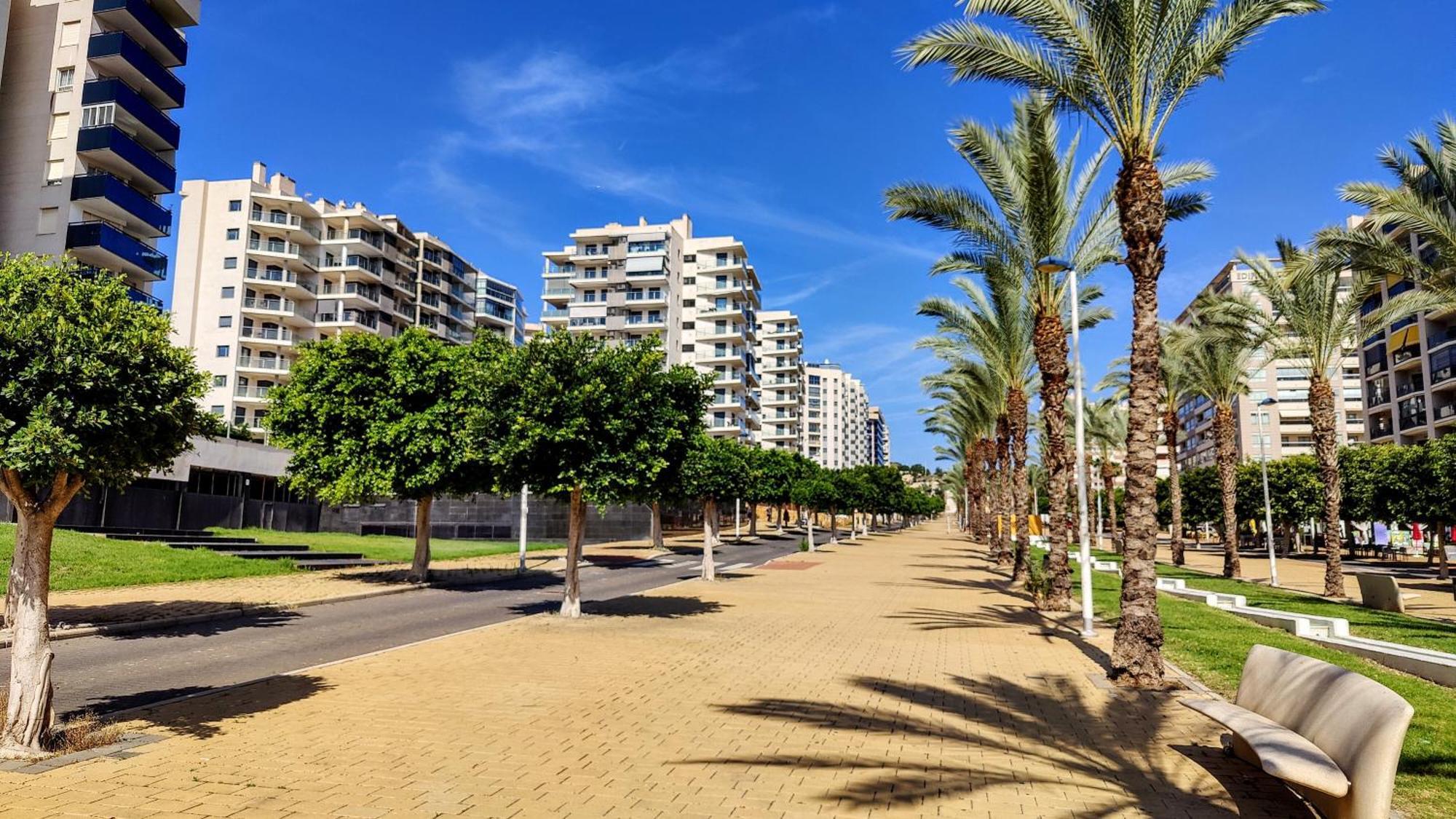 Cala Alta Design