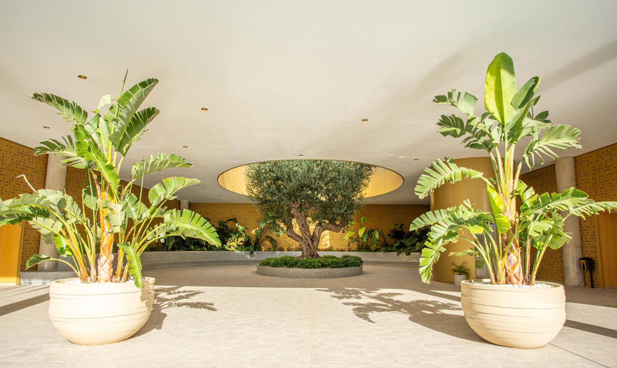 Intempo By Holuxe - 144 - 14th Floor * Benidorm