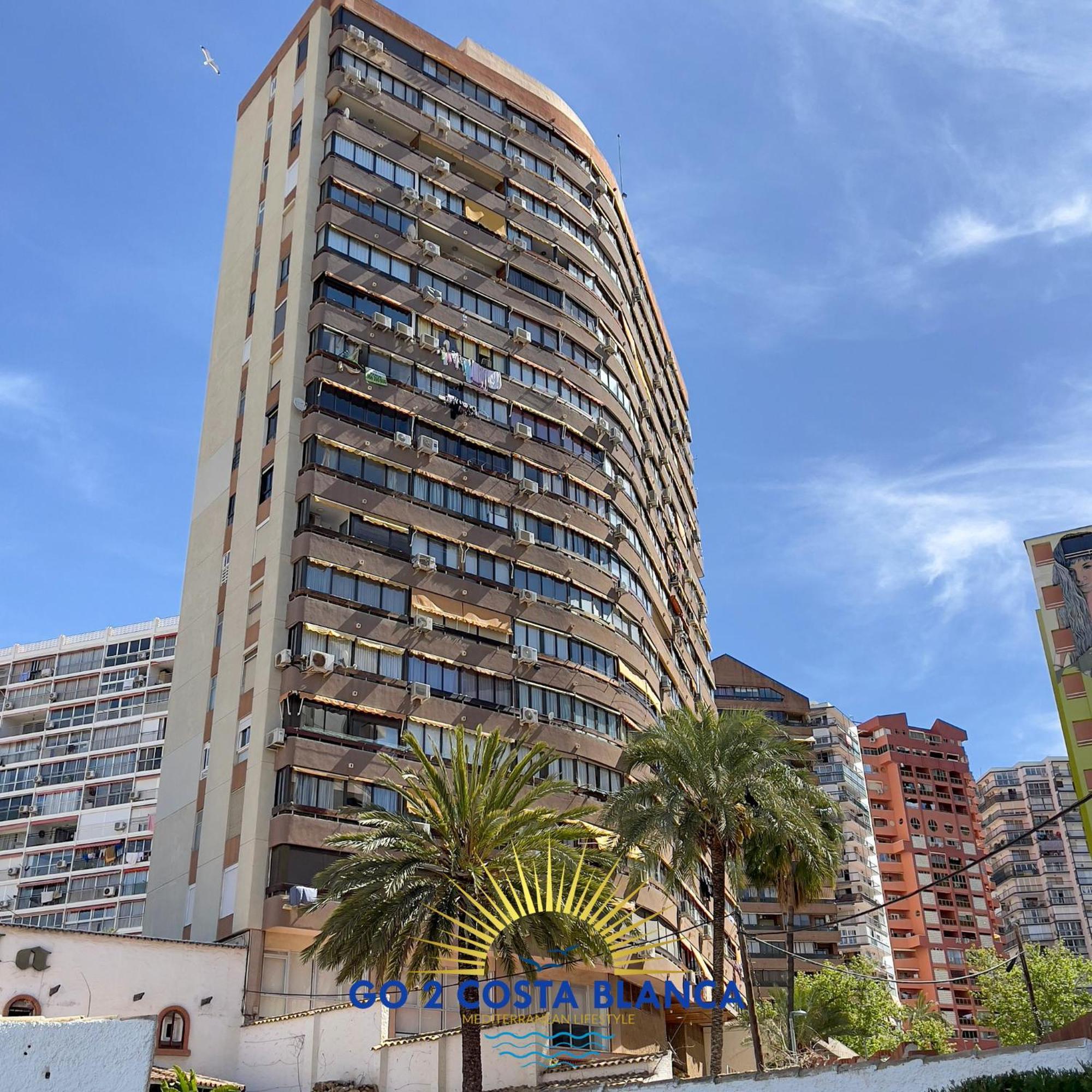 Sunflower Benidorm