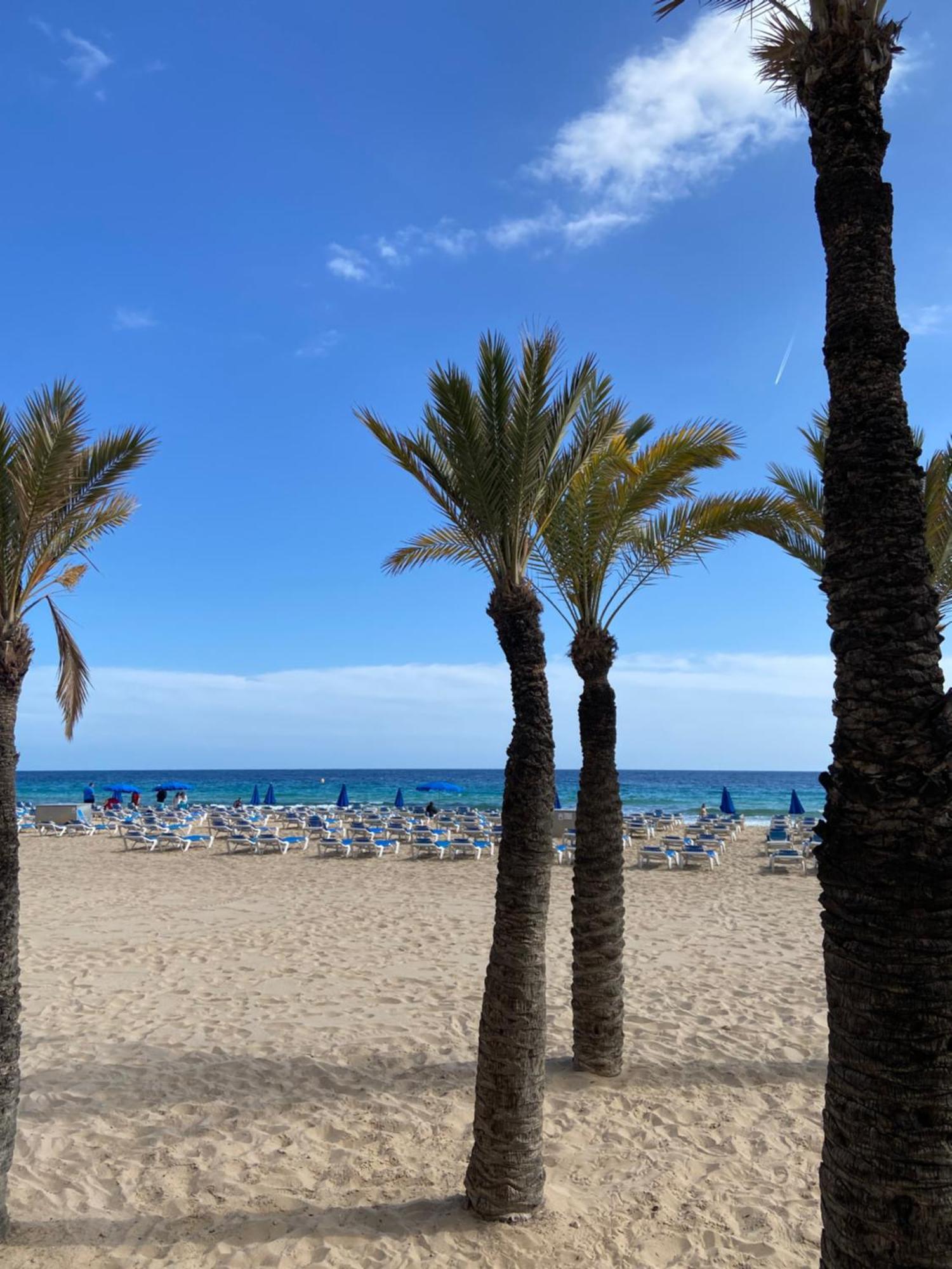 Levante Carlos V 1b Benidorm