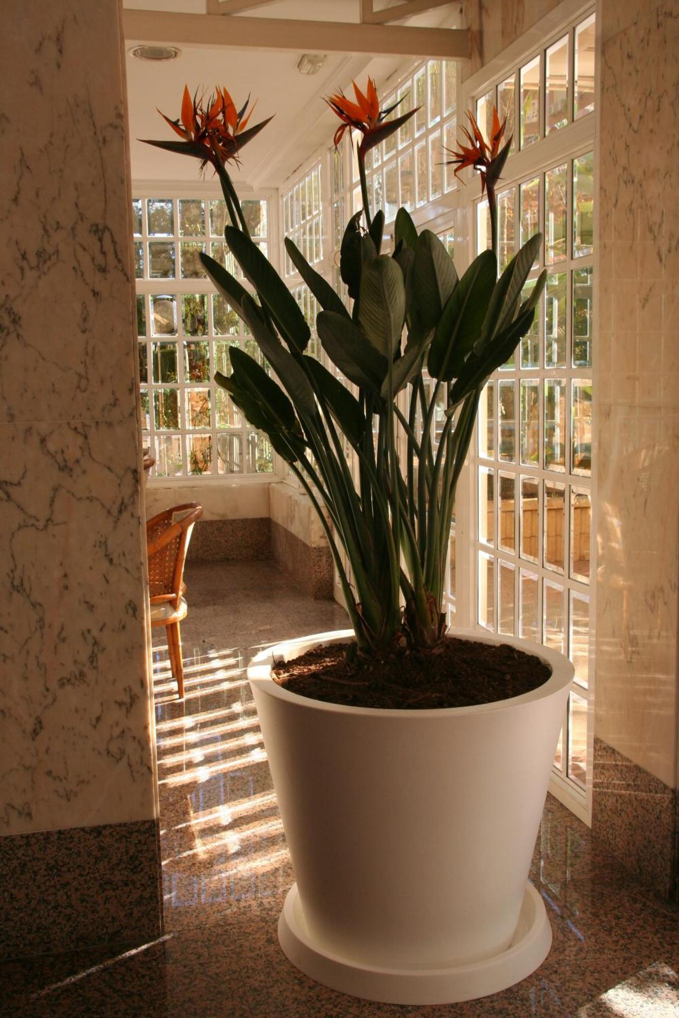 Apartamento Maria Victoria *