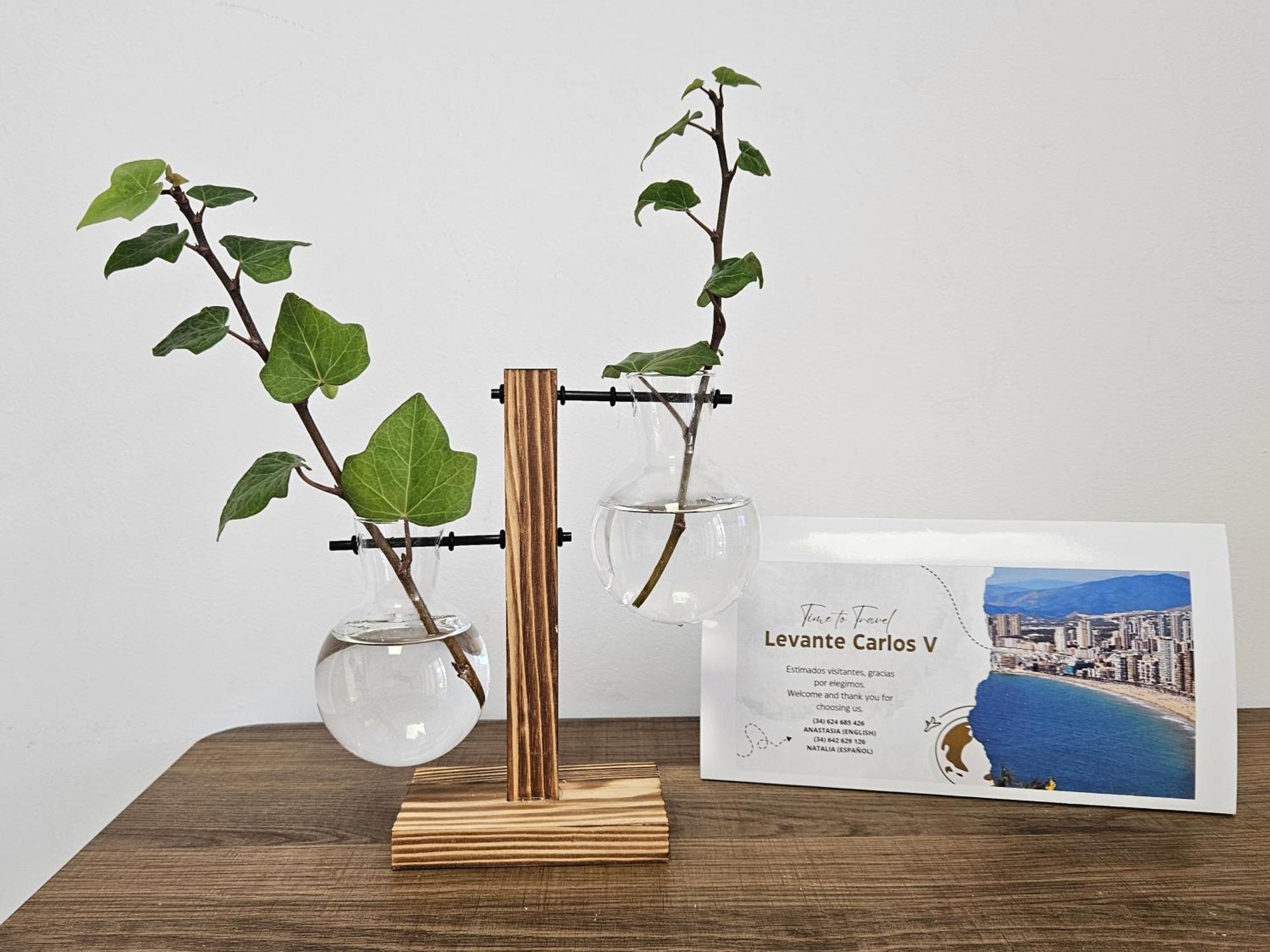 Apartment Levante Carlos V 1b *