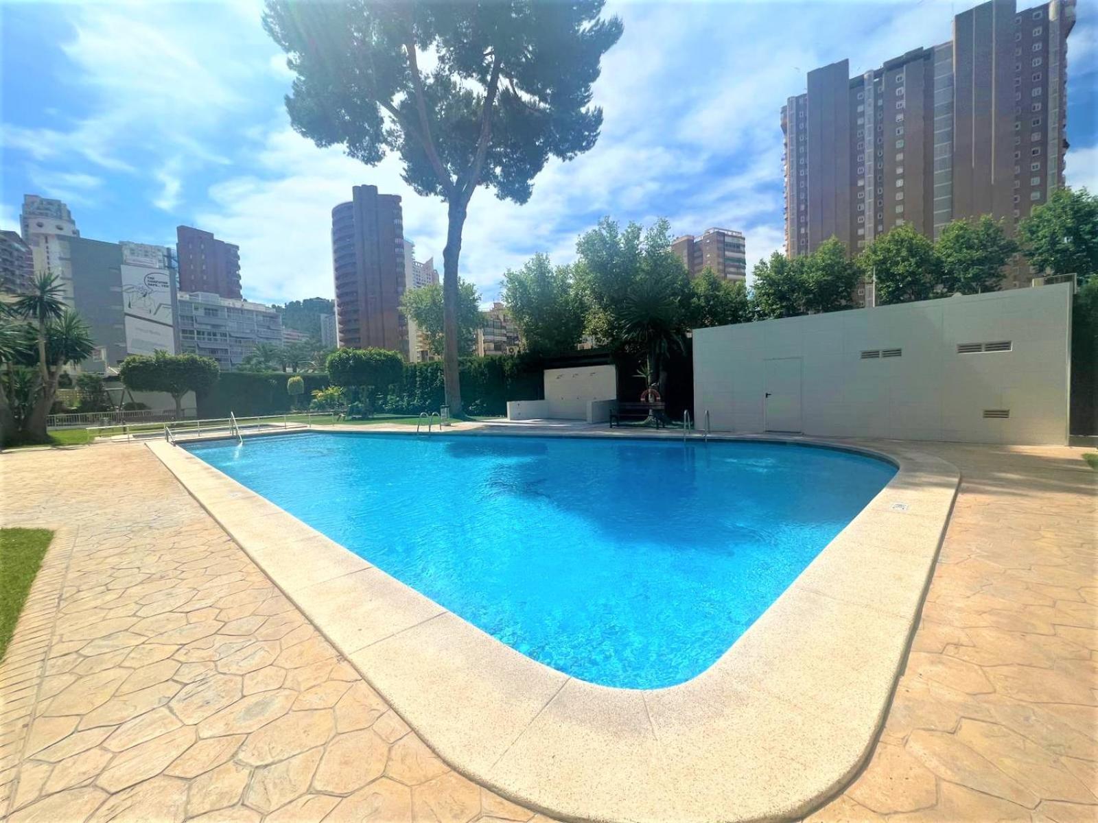 Albatros Luxury Ground Floor *