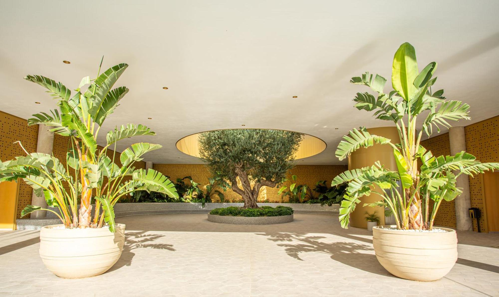 Intempo By Holuxe - 225 - 22nd Floor Benidorm