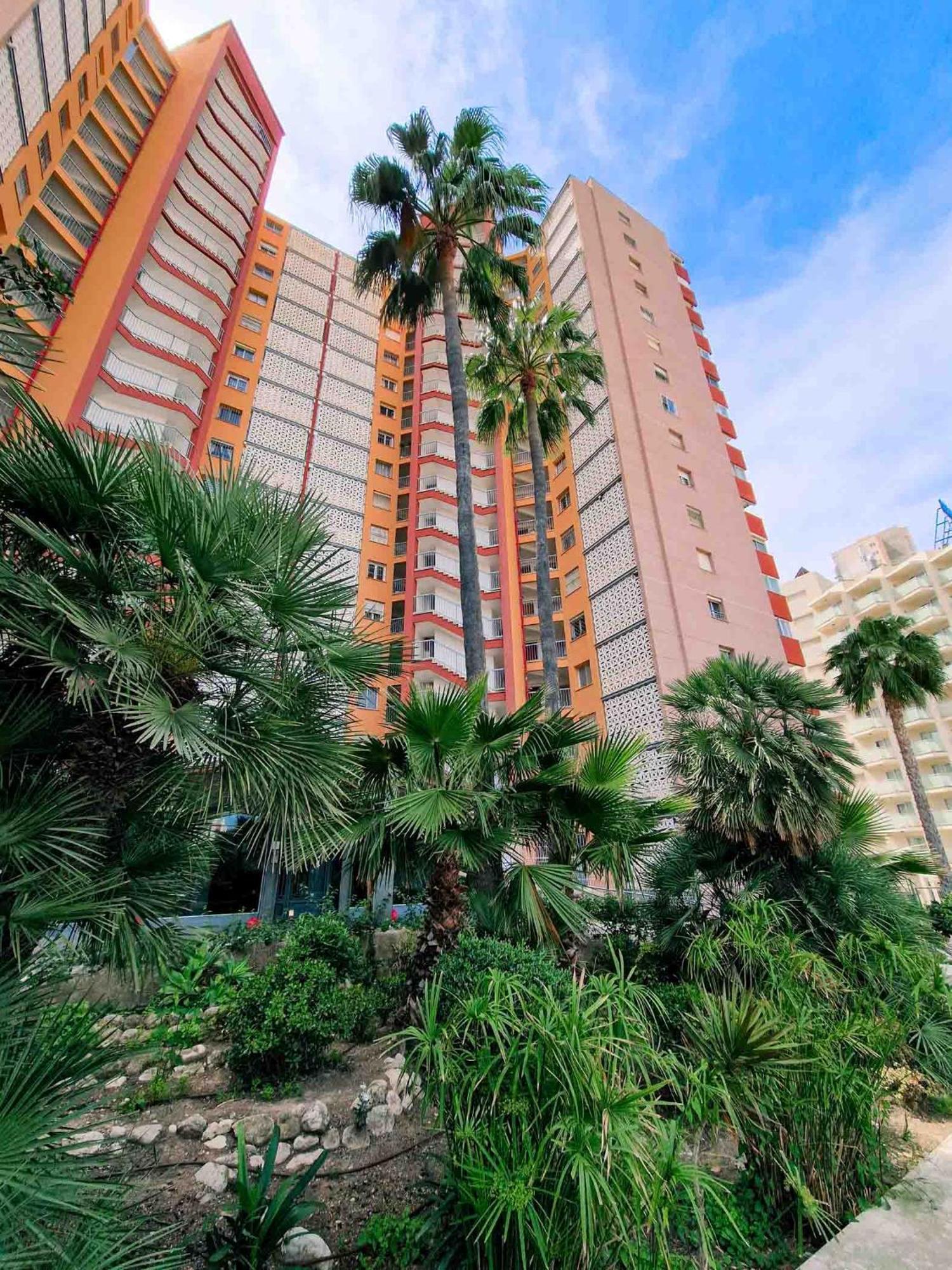 Green Tree I Rincon De Loix, Appartement