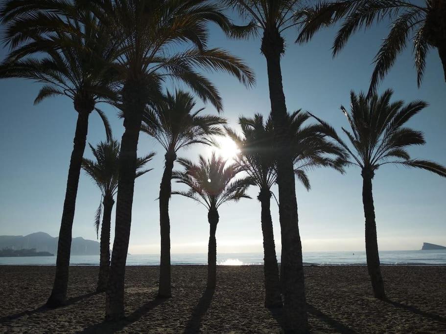 Apartment Vistas A 50 M Playa *