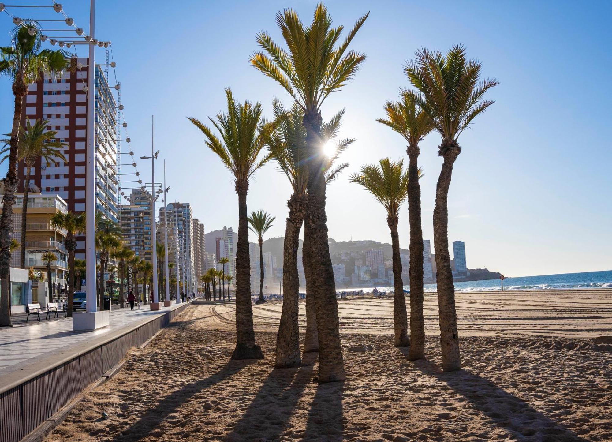 Apartment Las Palmeras 15d Benidorm