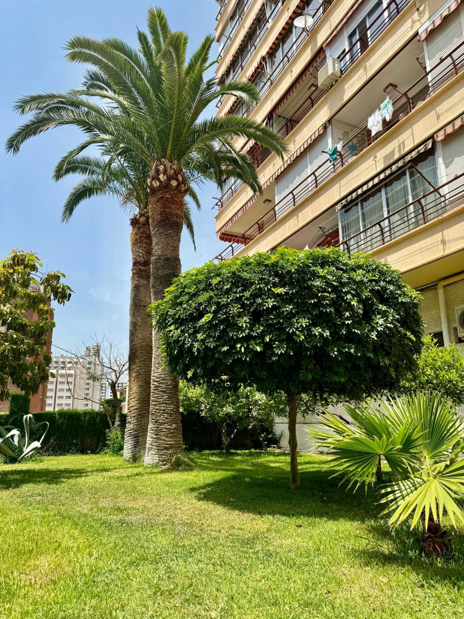 Piscis Playa * Benidorm