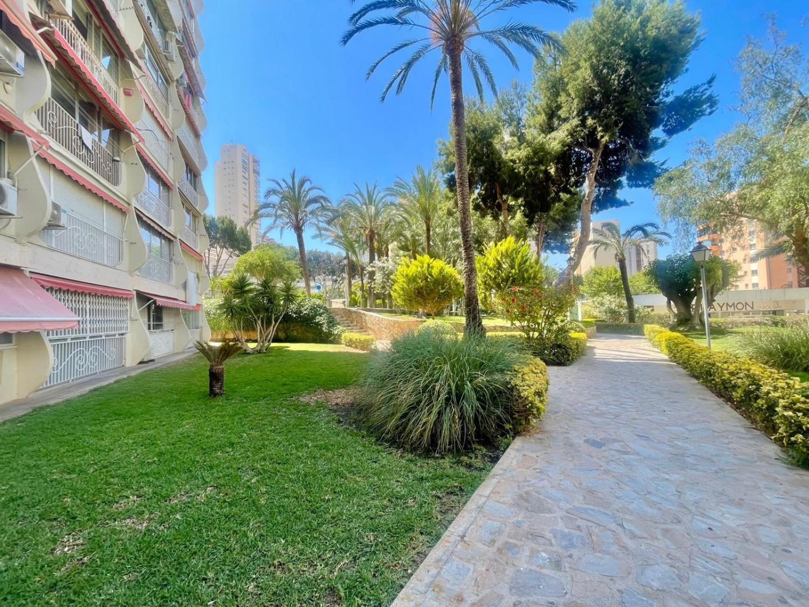 Penthouse Playmon Park *