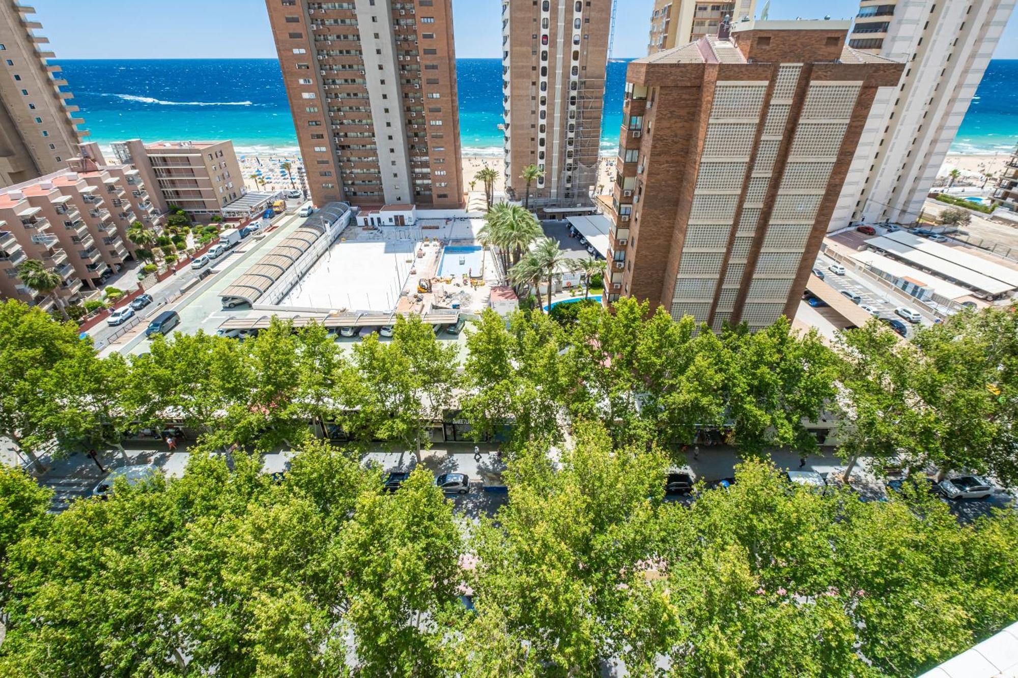 Caballos 12-c Levante * Benidorm