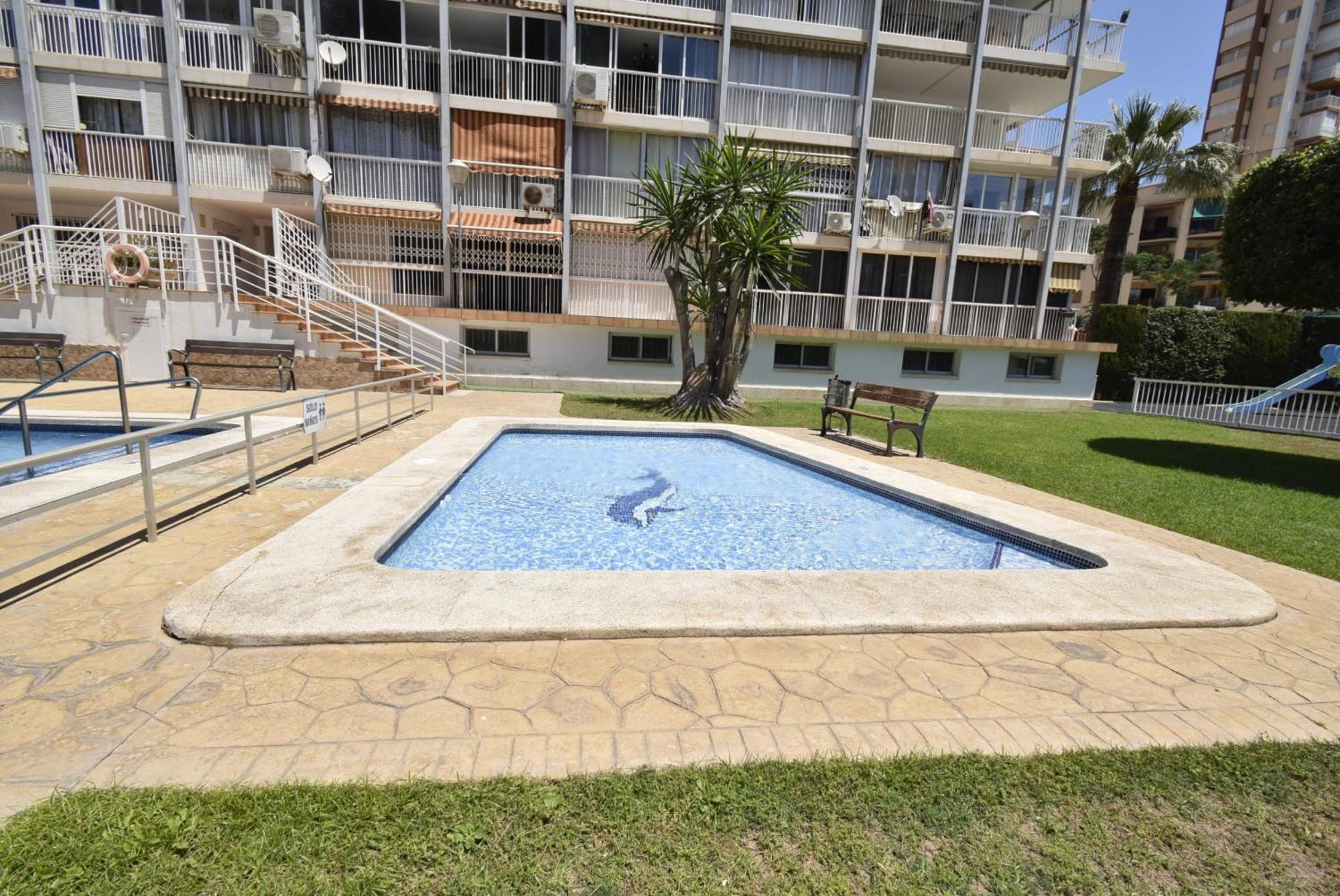 Albatros - Arena Benidorm